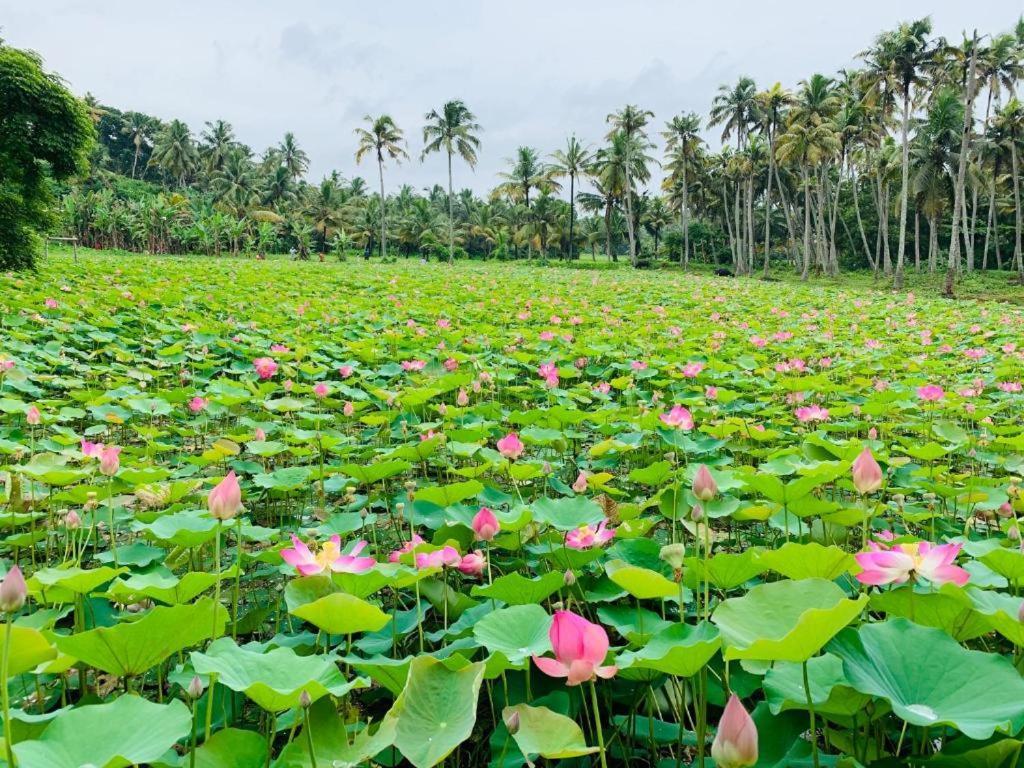 Maadathil Cottages & Beach Resort Varkala Eksteriør billede