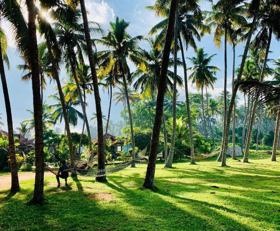 Maadathil Cottages & Beach Resort Varkala Eksteriør billede